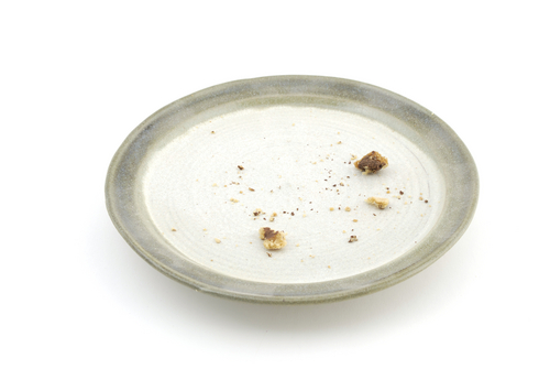 plate with crumbs